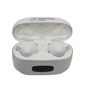 Sole Kick Earbuds 